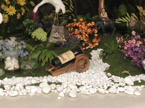 Hoa nhà hàng - khách sạn